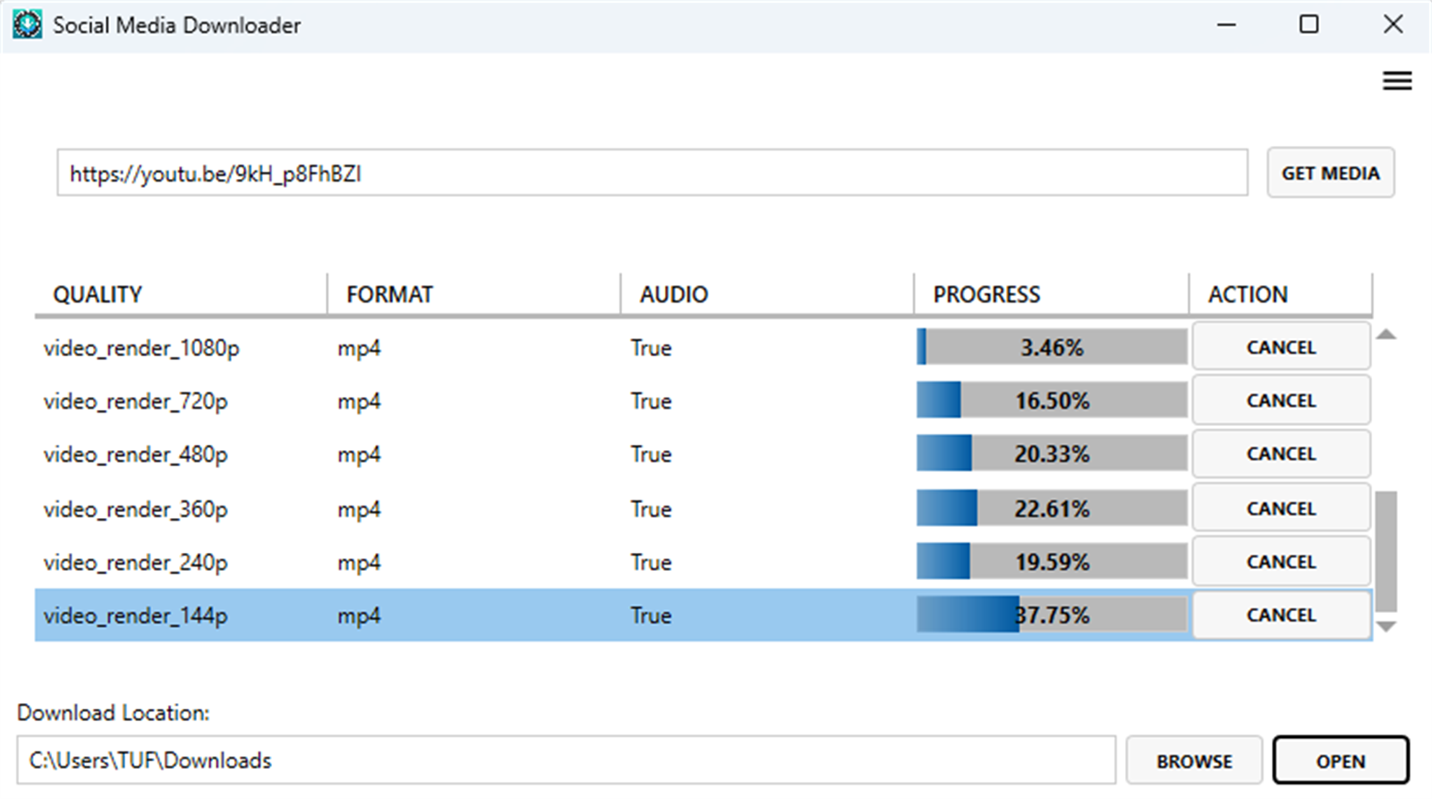 Social Media Video Downloader interface screenshot from Microsoft Store